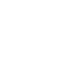 Leo's Imports logo