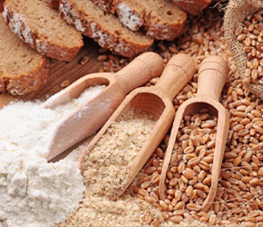 GRAINS & FLOUR Leo's Imports & Distributors